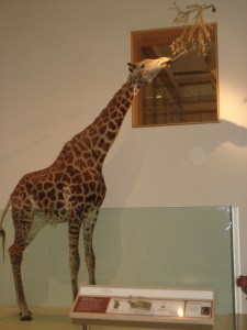 ???????????????????????????????