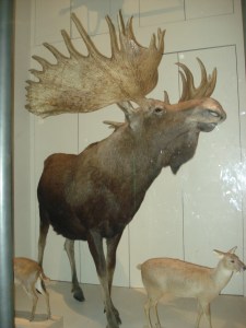 ???????????????????????????????